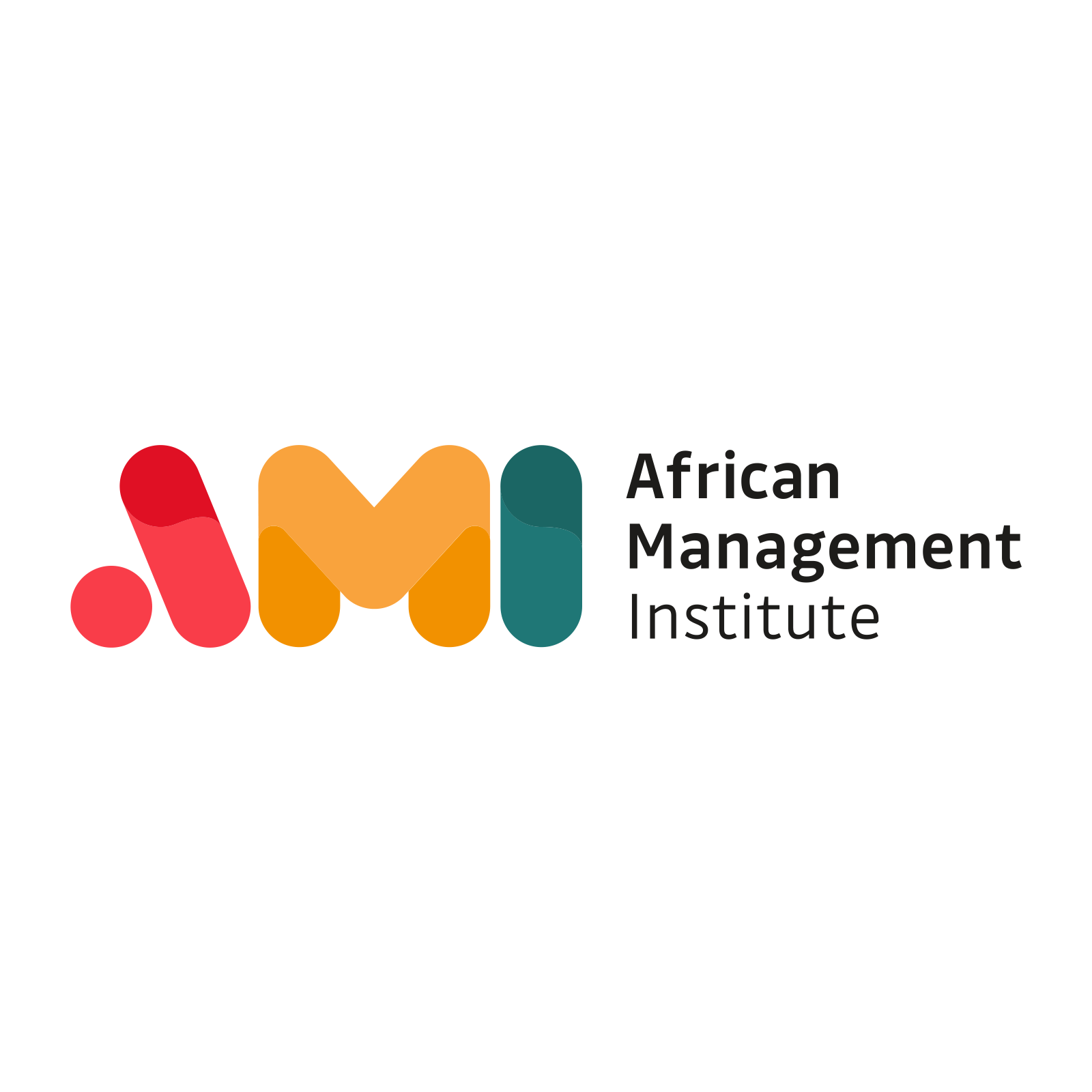 African Management Institute | Business & Management Training